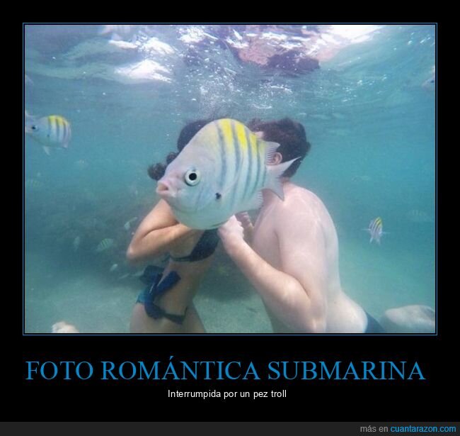 pez,foto submarina,pareja,photobomb,fails