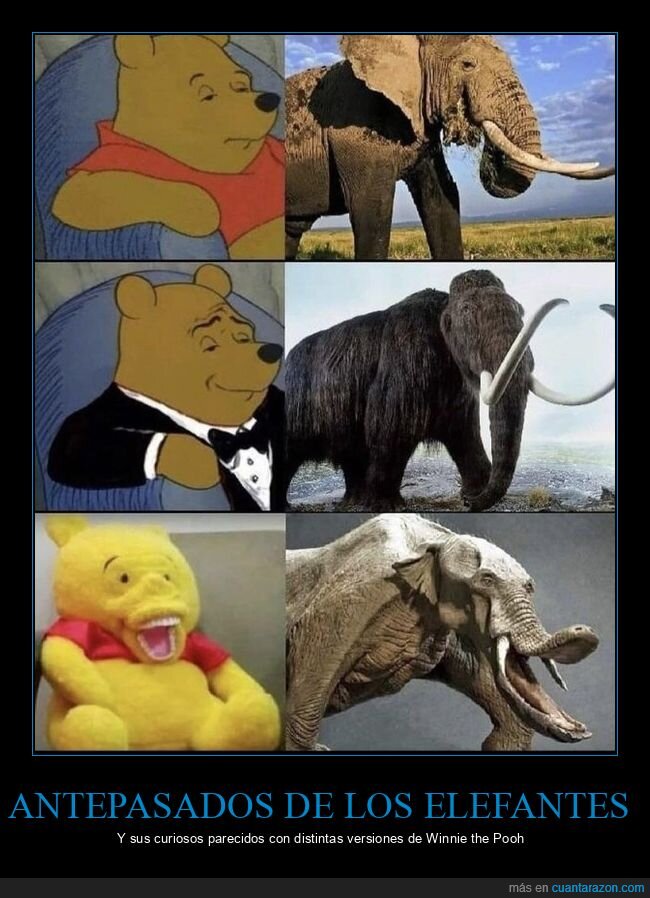 elefante,mamut,platybelodon,winnie the pooh