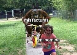 Enlace a Todos los meses igual