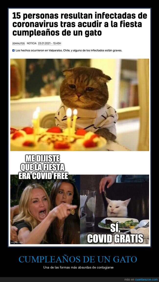 coronavirus,cumpleaños,gatos,gritando al gato