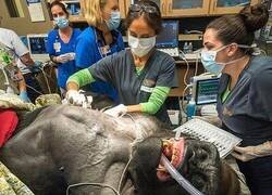 Enlace a En la mesa de operaciones