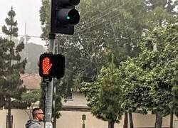 Enlace a No sin mi peluche