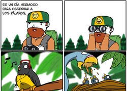 Enlace a La vida secreta de las aves