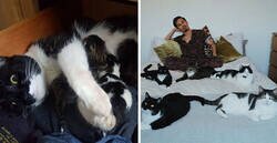 Enlace a Este chico sin gatos encontró 5 de ellos en su cuarto, y ha publicado una actualización tras 2 años con su familia gatuna