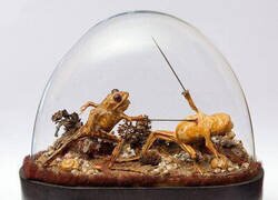 Enlace a Taxidermista con mucha imaginación