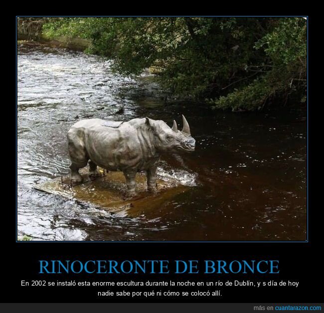 rinoceronte,escultura,río,wtf