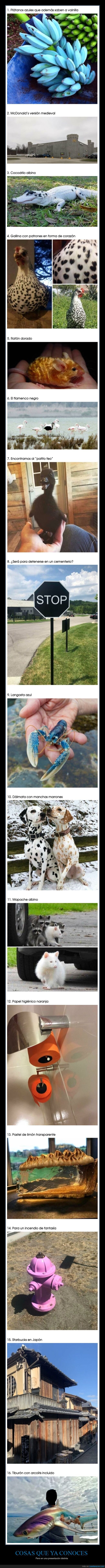 presentaciones,diferentes,aspecto