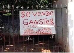 Enlace a Mafioso a la venta