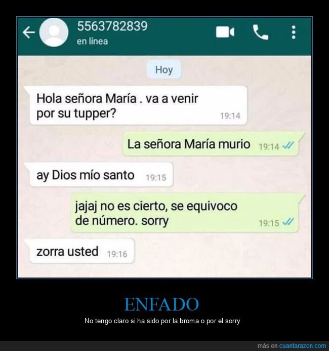 equivocarse,trolling,whatsapp,wtf