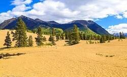 Enlace a El desierto de Canadá