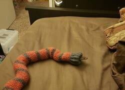 Enlace a Bien calentita