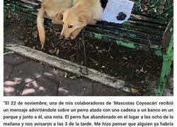 Enlace a Un niño dejó a este cachorro atado en un banco del parque con una nota desgarradora porque sus padres maltrataban al perro