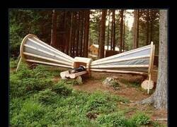 Enlace a Amplificador de ruido forestal