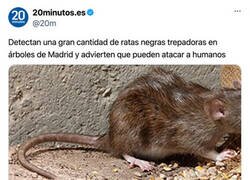 Enlace a Madre mía Madrid...