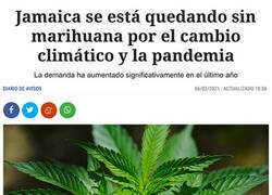 Enlace a Malas noticias desde Jamaica