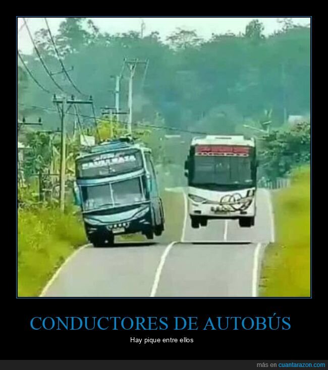 autobuses,wtf