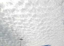 Enlace a Nunca deja de observar