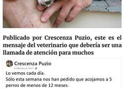 Enlace a Este veterinario se vio obligado a sacrificar a un cachorro sano y pide a la gente que se lo piense bien antes de adquirir un perro durante el confinamiento