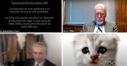 Enlace a “Creo que tiene un filtro activado”: Un abogado se presenta accidentalmente con un filtro de gato en una audiencia judicial vía Zoom