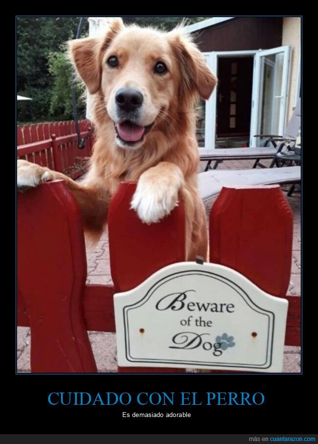 perro,cuidado con el perro,carteles