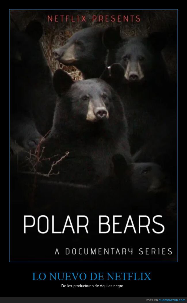 netflix,osos,osos polares