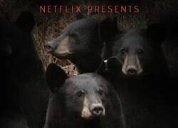 Enlace a Osos polares en Netflix