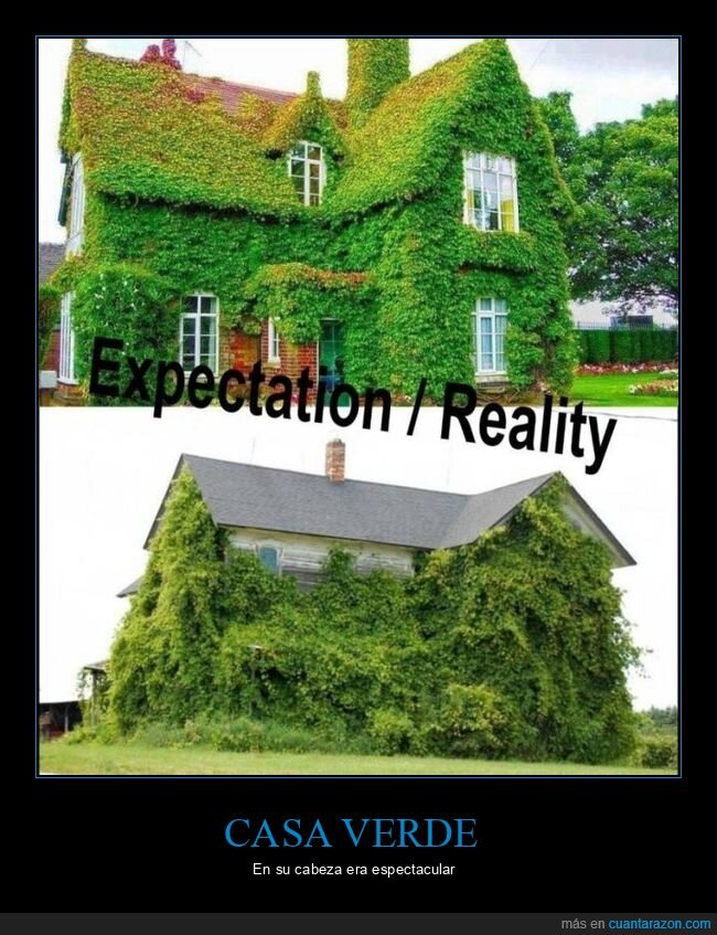 casa,plantas,expectativas,realidad