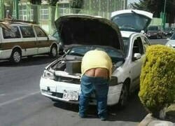 Enlace a Todo un profesional