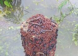 Enlace a Poniéndose a salvo