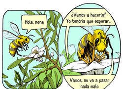 Enlace a La abeja y la flor