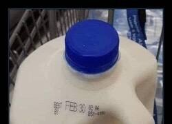 Enlace a Leche eterna