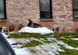 Enlace a Donde más a gusto está