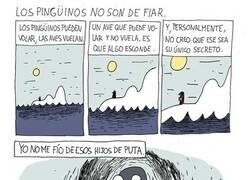 Enlace a Nunca te fíes de un pingüino