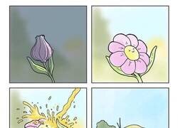 Enlace a La vida secreta de las flores