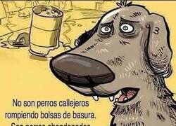 Enlace a Necesitan ayuda