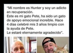 Enlace a Gato de apoyo emocional