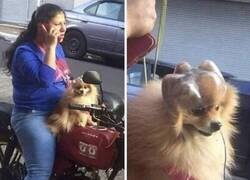 Enlace a Casco homologado