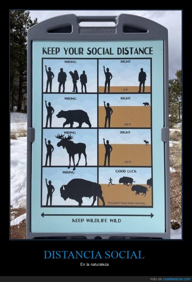 distancia social,animales
