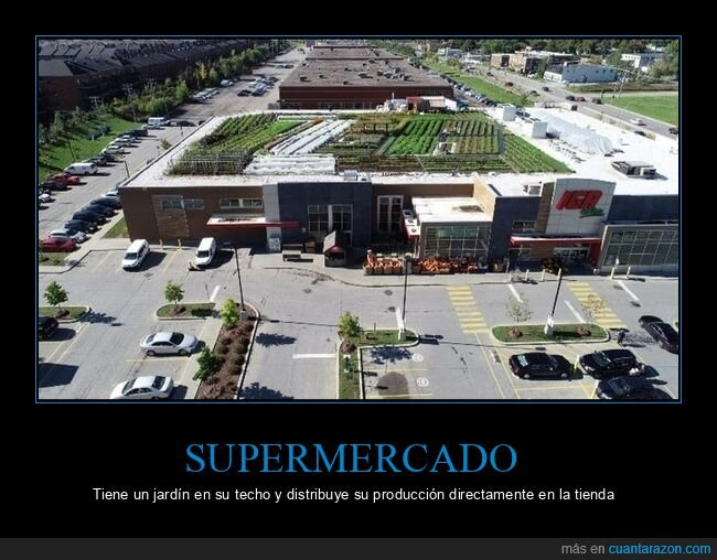 supermercado,techo,jardín