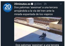 Enlace a La mafia de las palomas ataca de nuevo