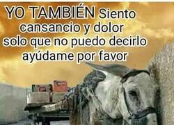 Enlace a Por los que tiran del carro