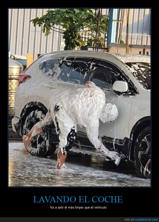 lavando el coche,jabón,wtf
