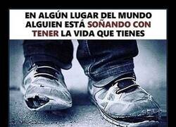 Enlace a Es de bien nacido ser agradecido