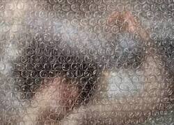 Enlace a No es lo que parece