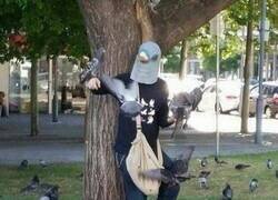 Enlace a El señor de las palomas