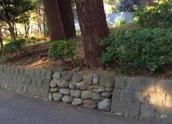Enlace a Muro sospechoso
