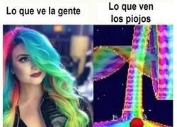 Enlace a Una mirada más de cerca