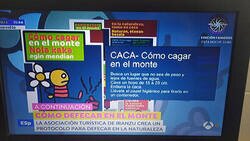 Enlace a Instrucciones detalladas