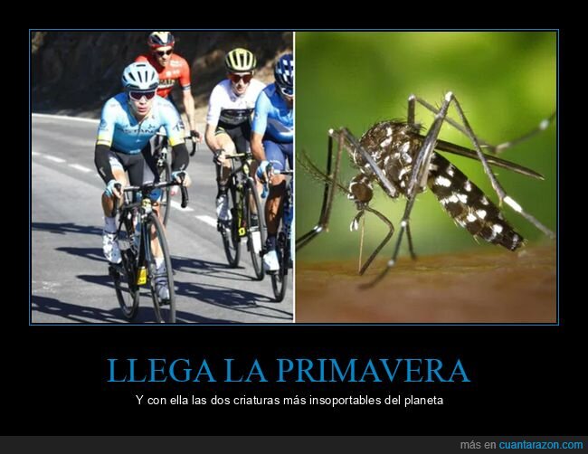 ciclistas,criaturas,molestas,mosquitos,primavera