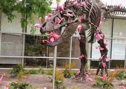 Enlace a Cuidado con los flamencos